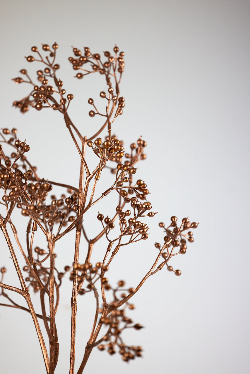 Branche de baie doré