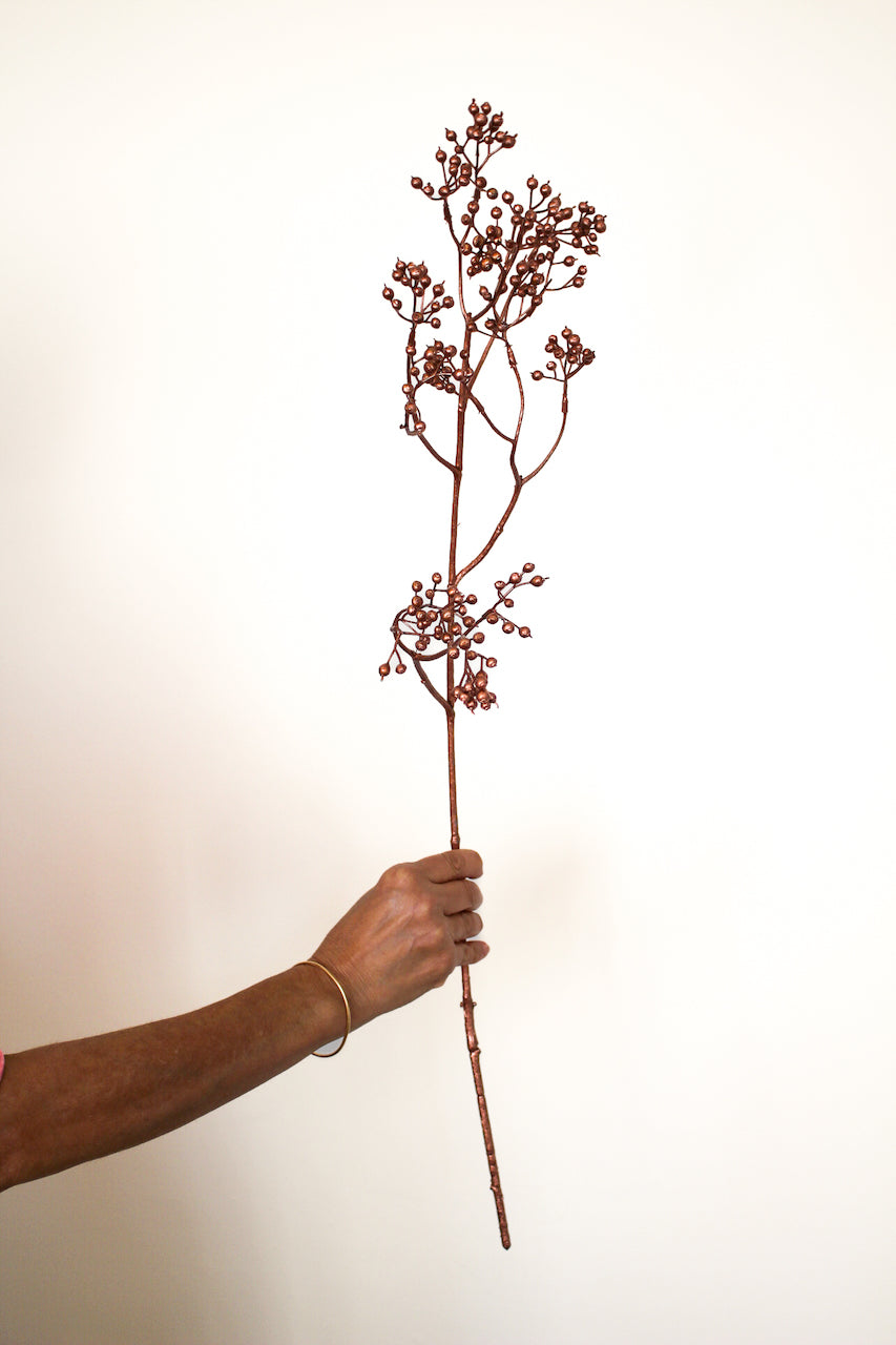 Branche de baie doré