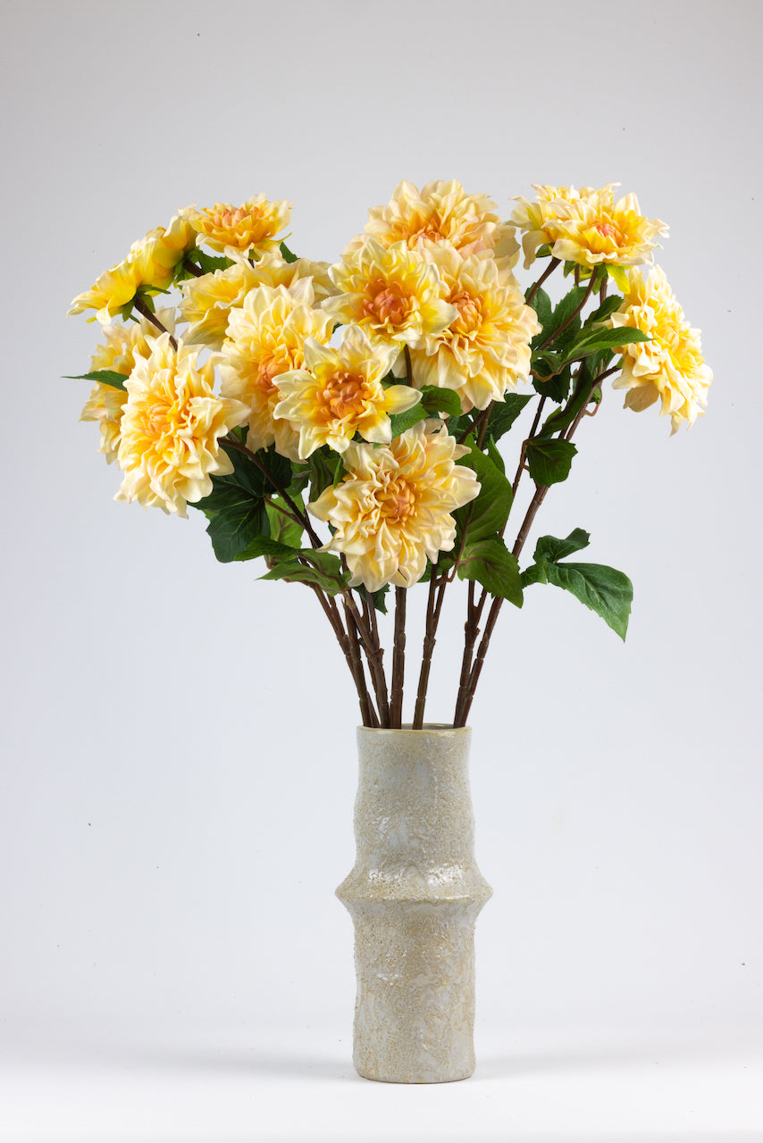 Dahlia jaune