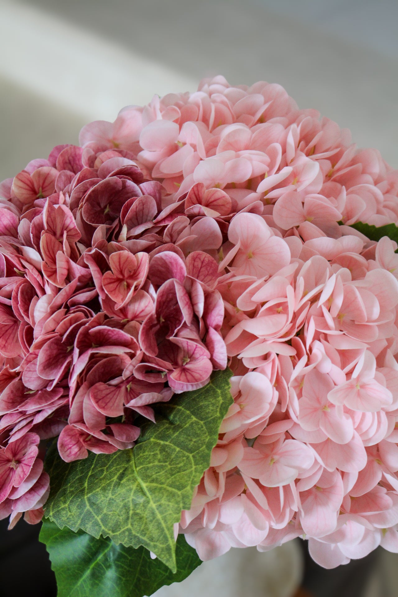 Bouquet Etienne