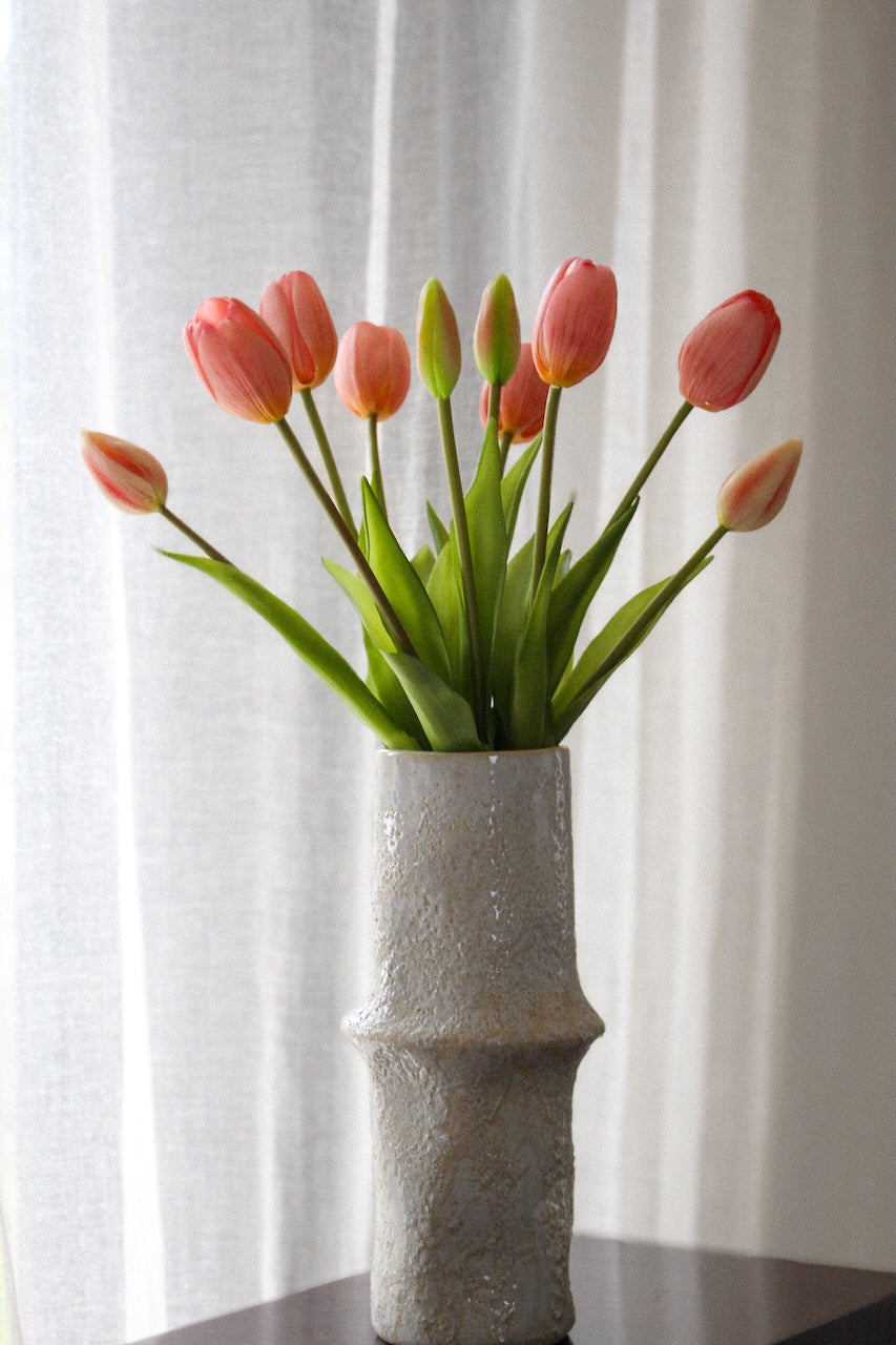 Tulipes roses