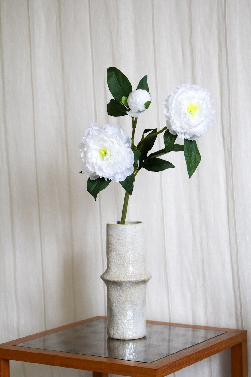 Pivoine blanche