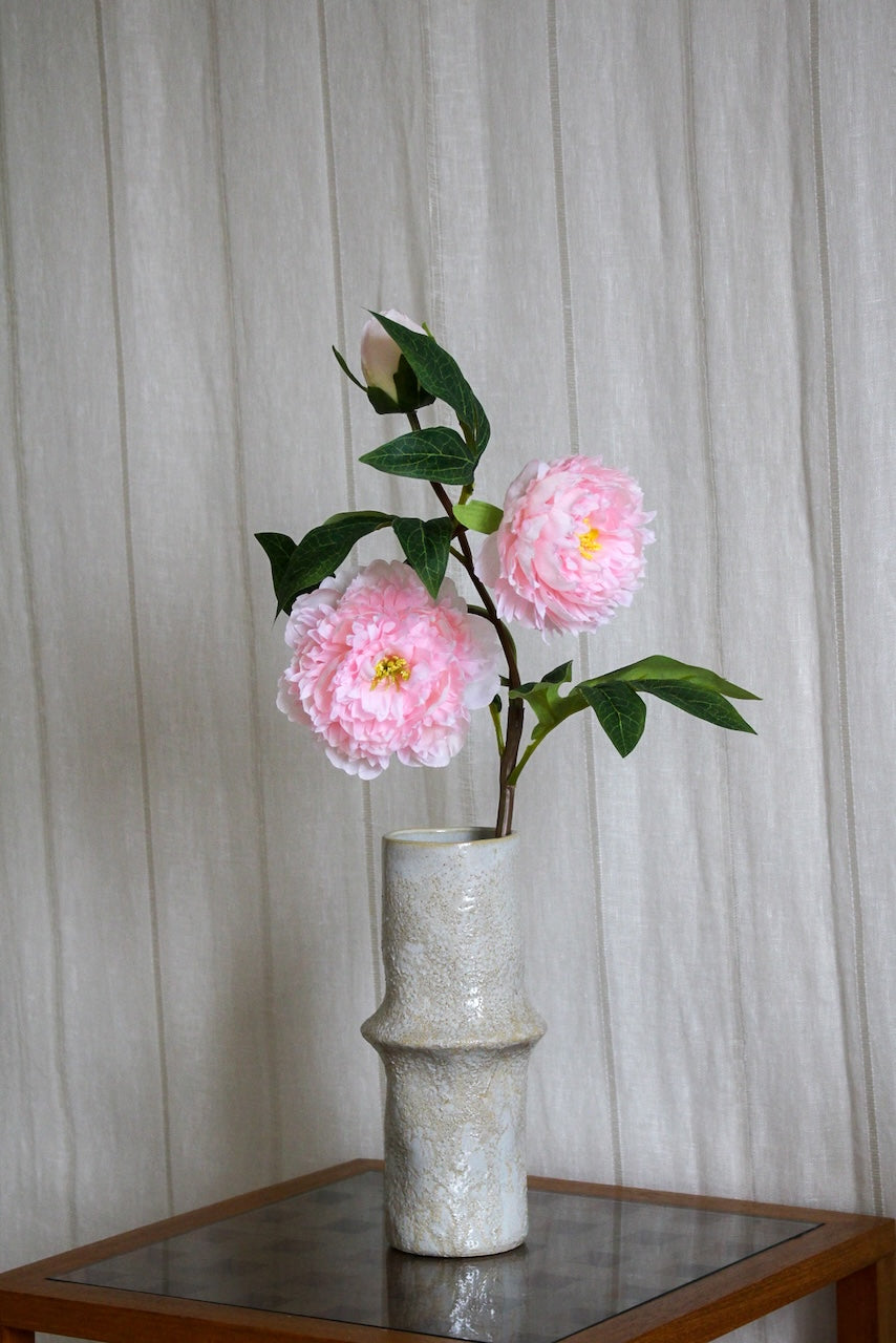 Pivoine rose