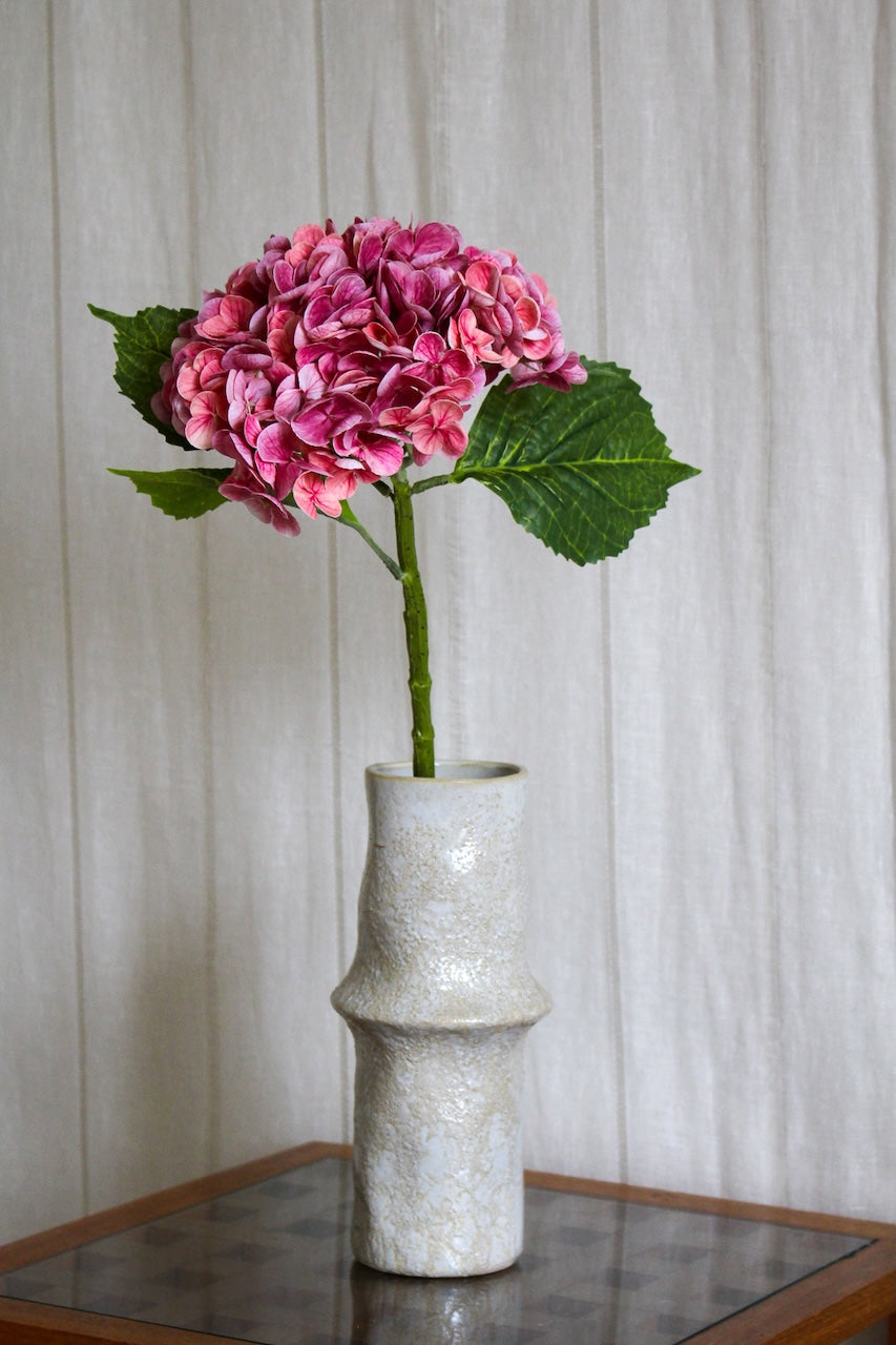 Hortensia rose foncé