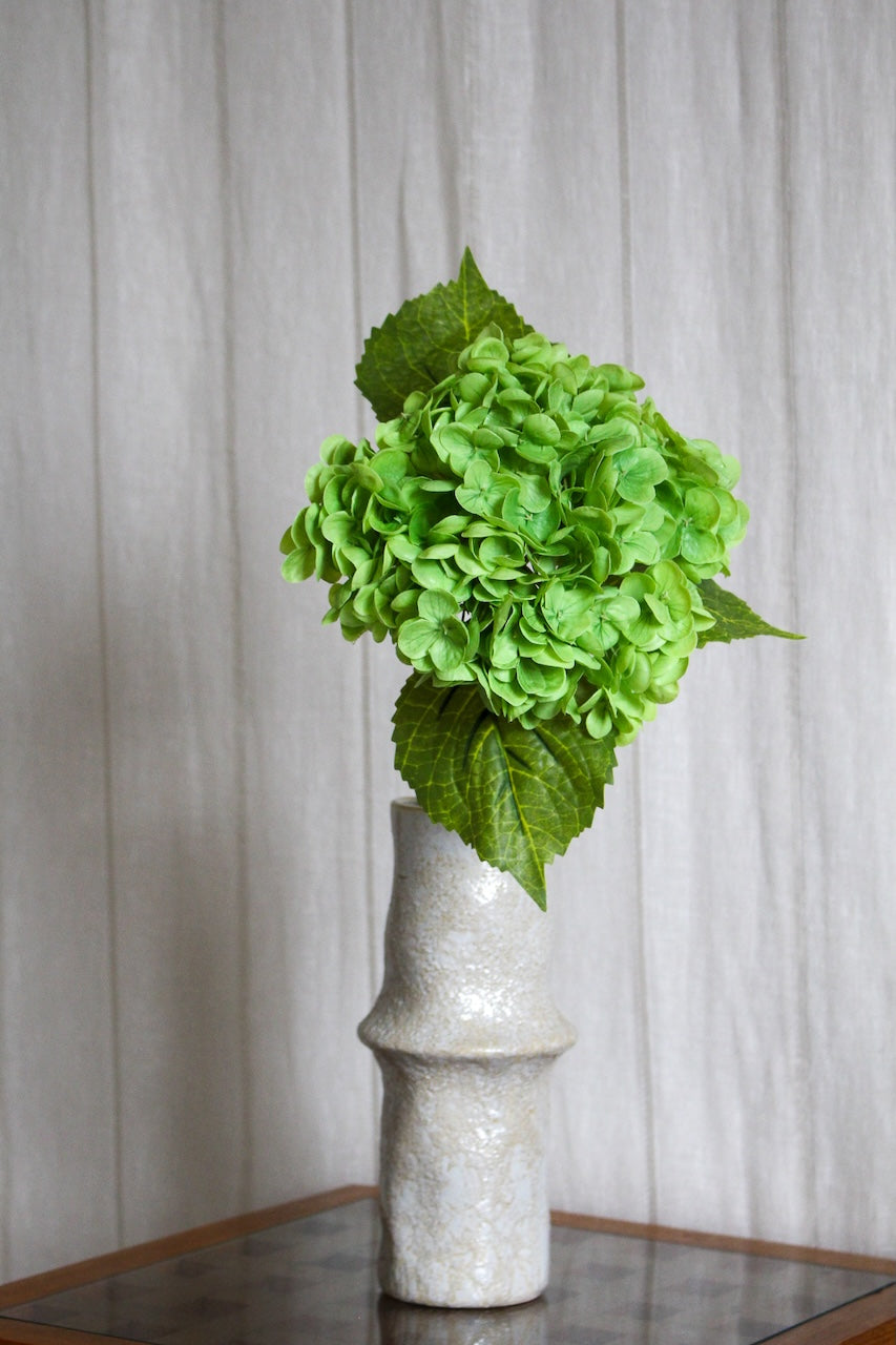 Hortensia vert foncé