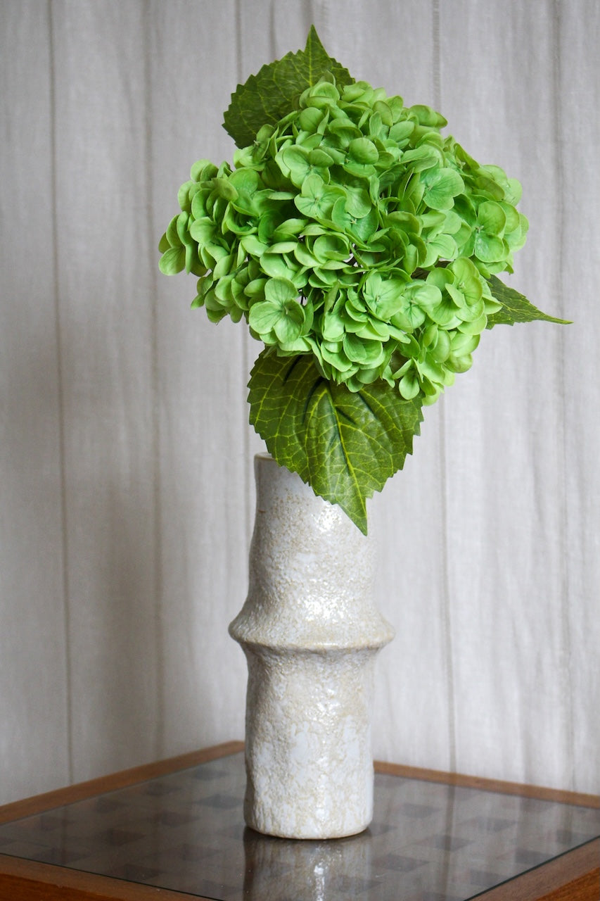 Hortensia vert foncé