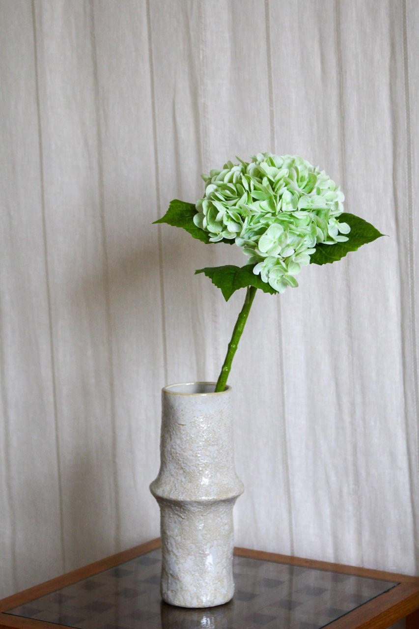 Hortensia vert clair