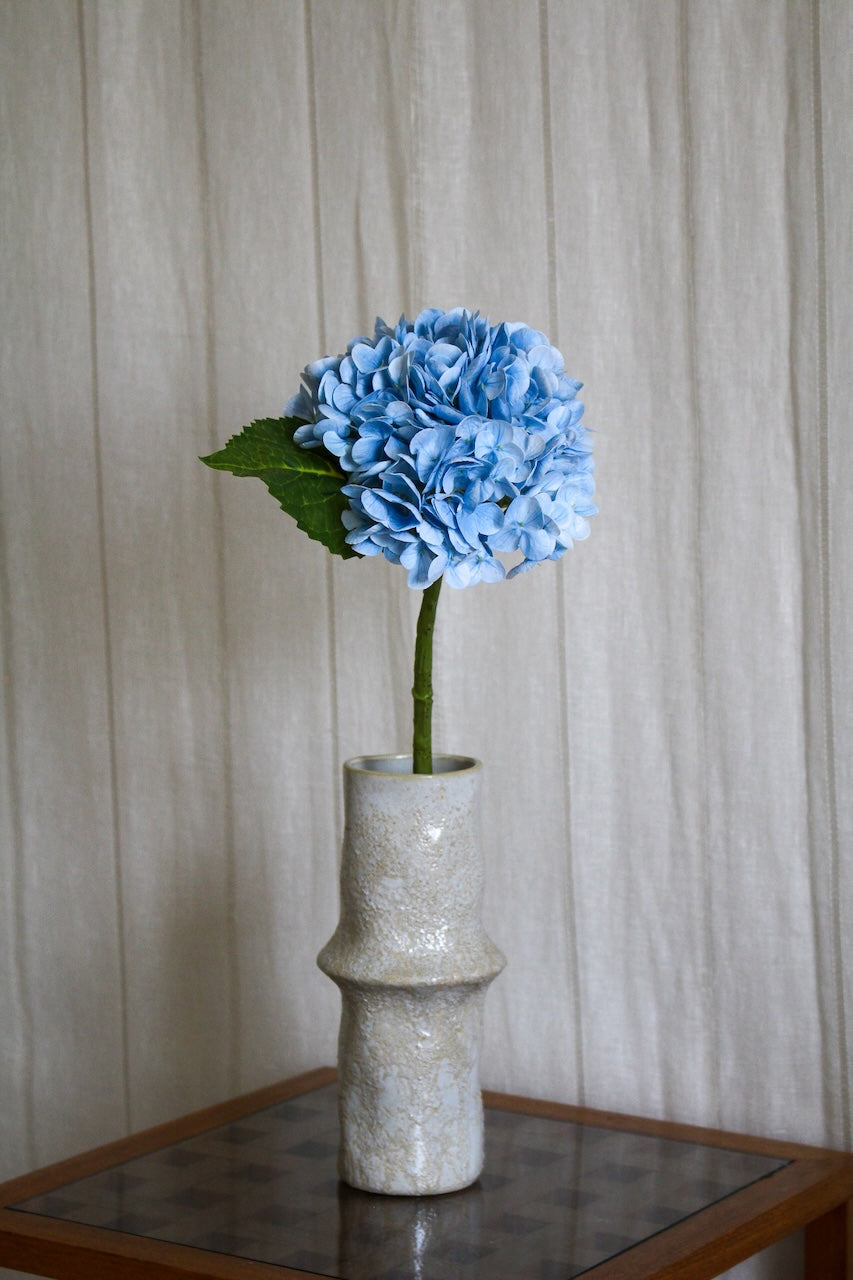 Hortensia bleu