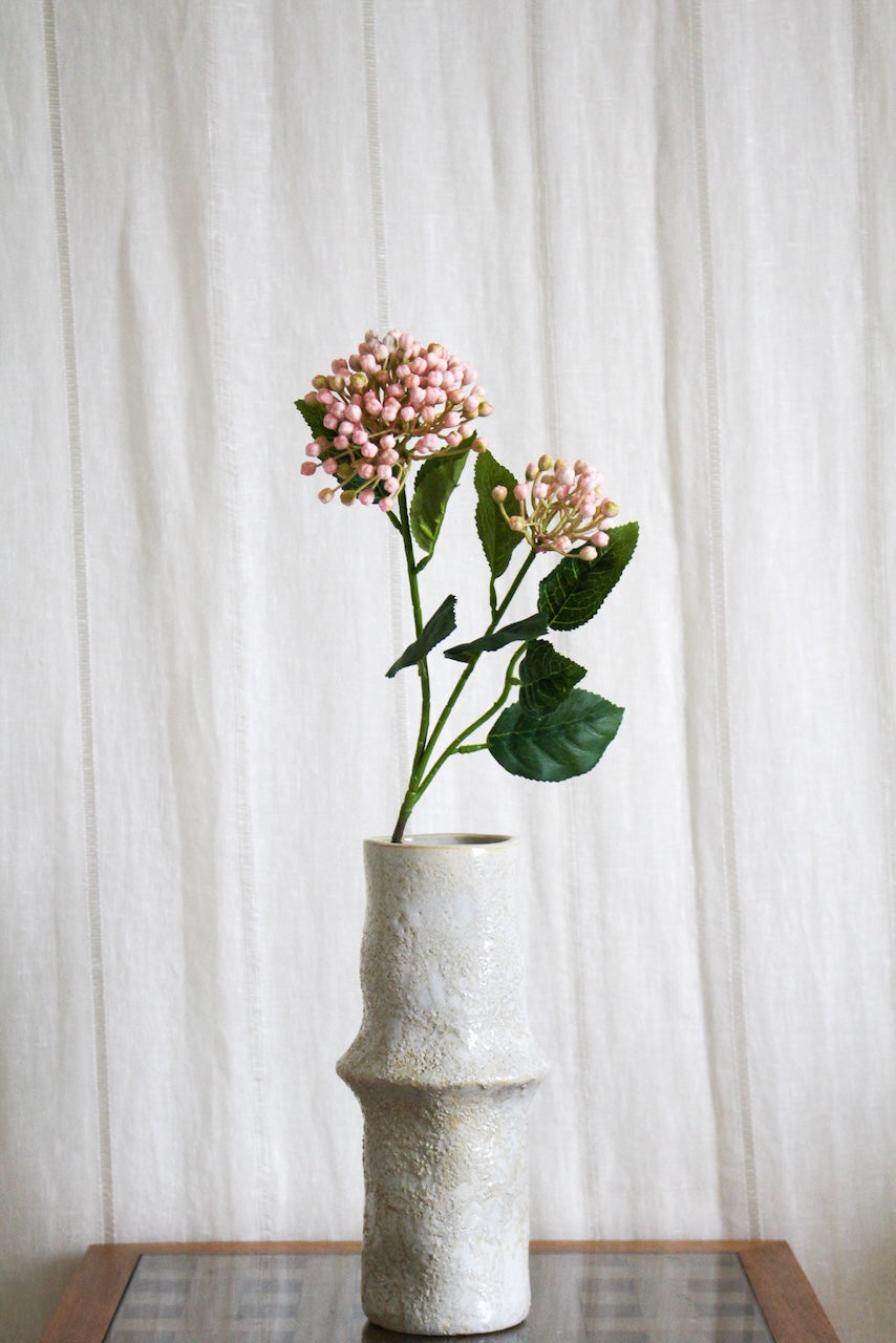 Baie rose