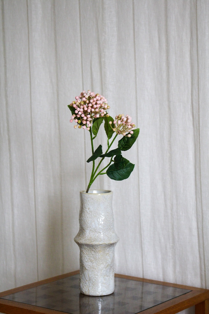 Baie rose