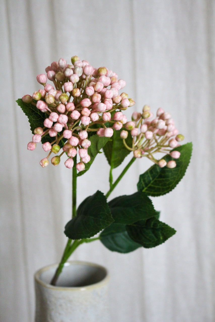 Baie rose
