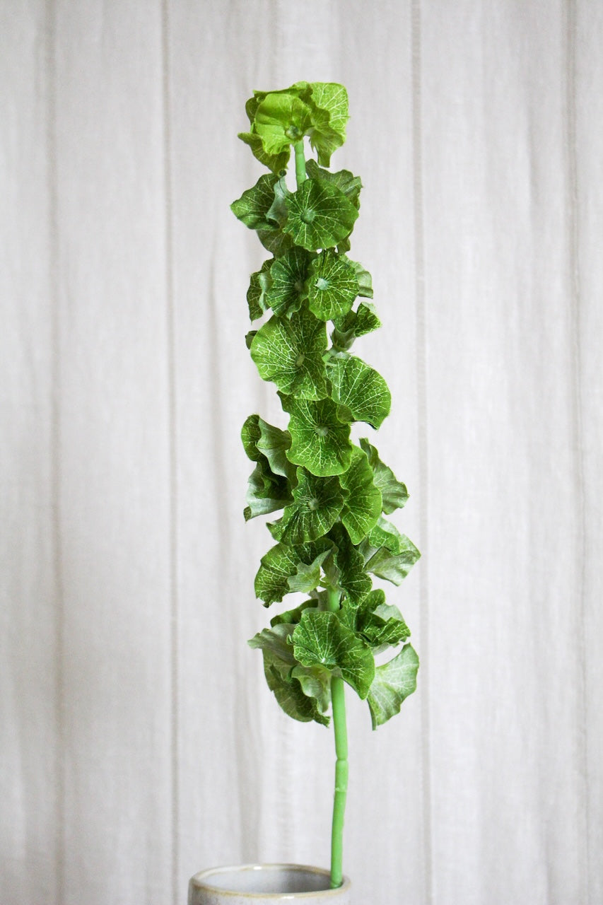 Molucelle Artificielle — Tige de Cloche d'Irlande