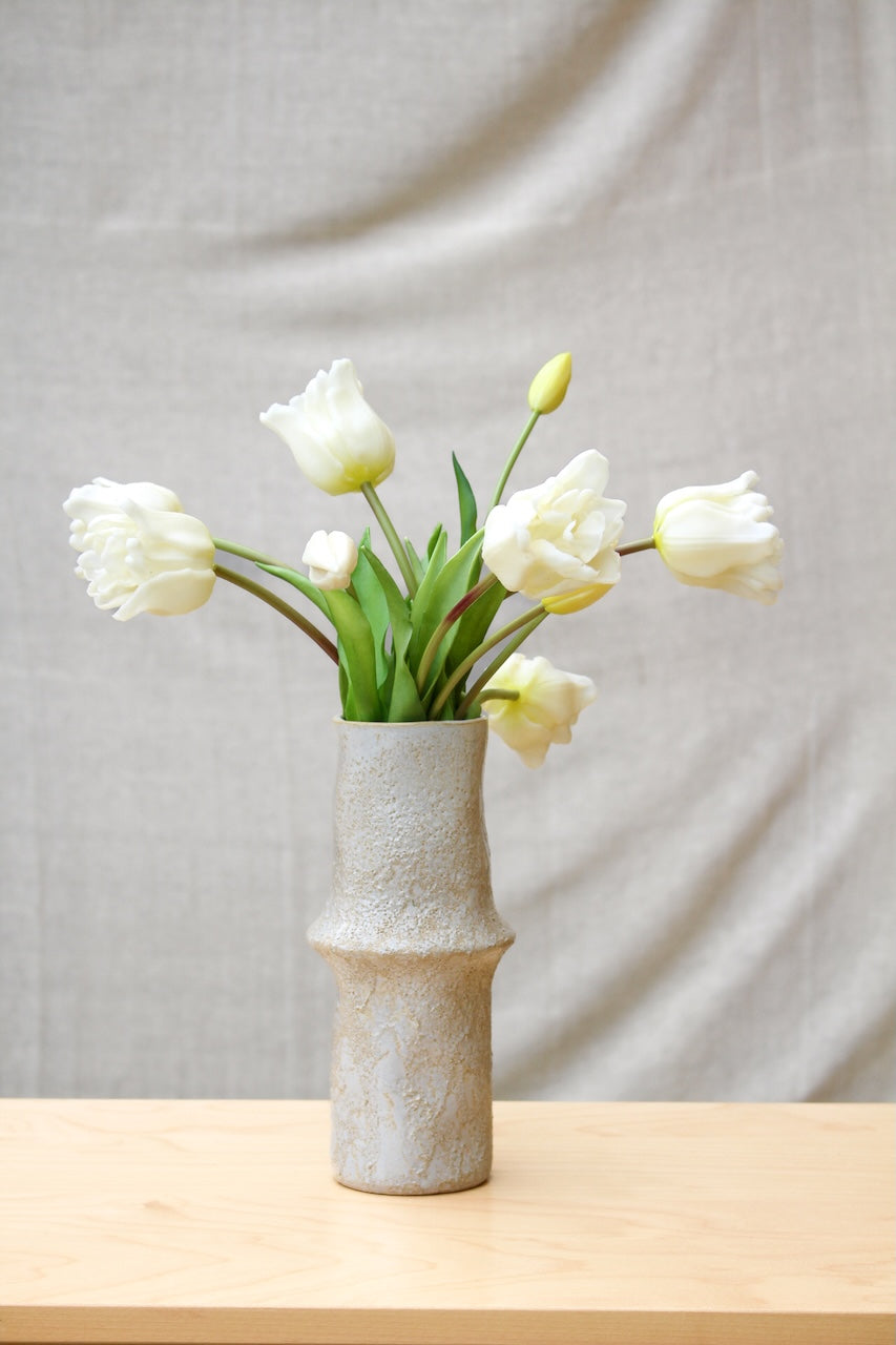 Tulipes perroquets blanches