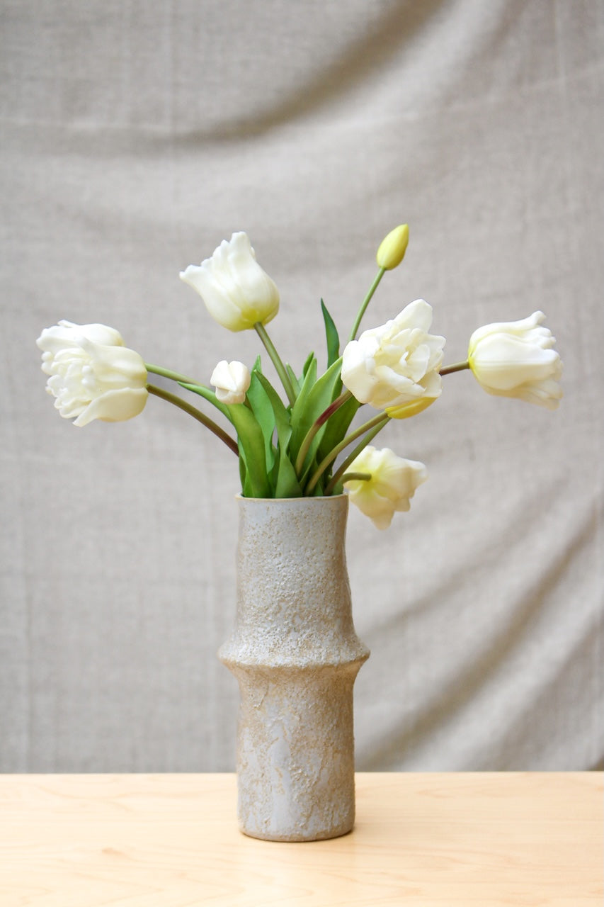 Tulipes perroquets blanches