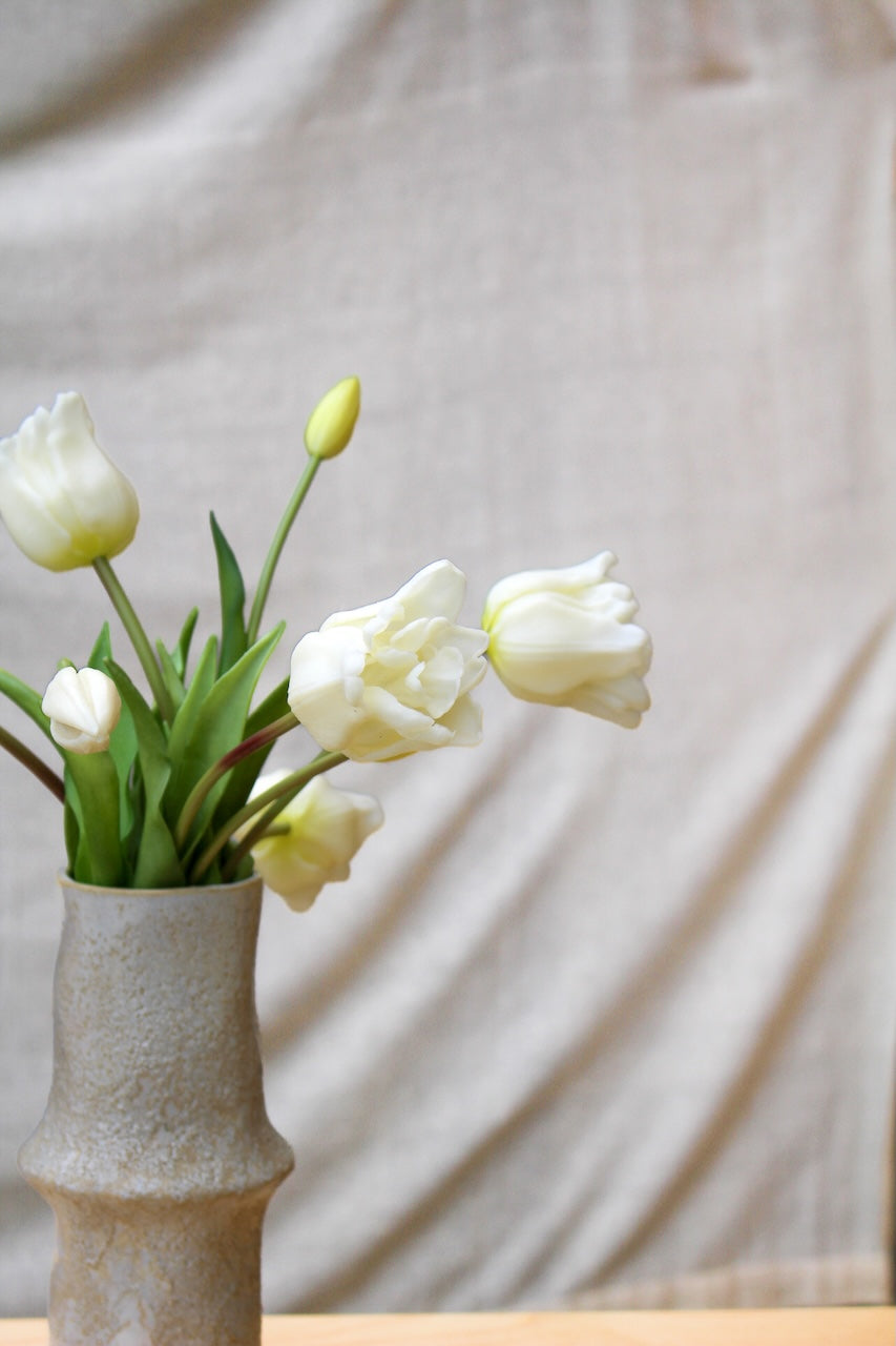 Tulipes perroquets blanches