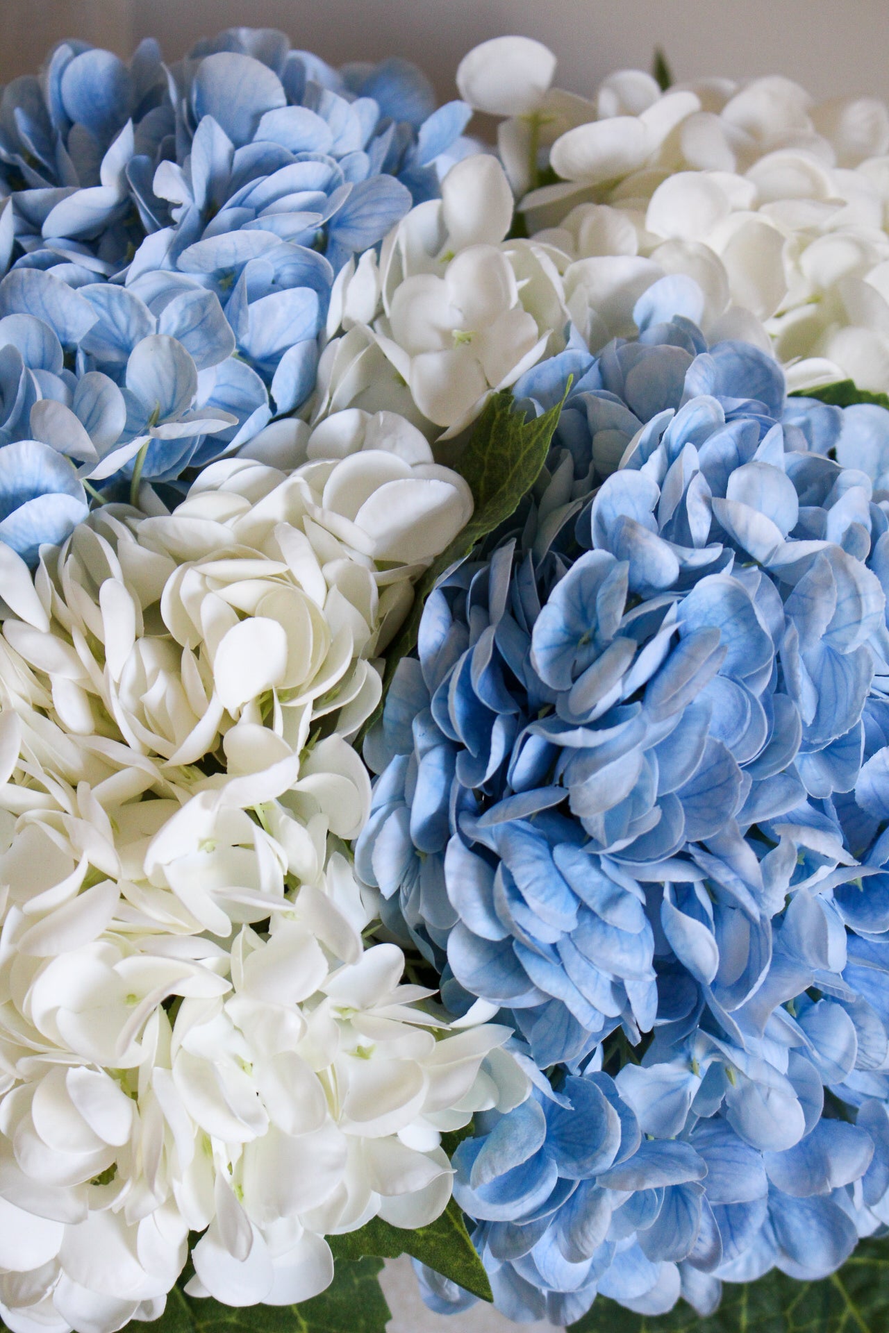 Bouquet Stéphane