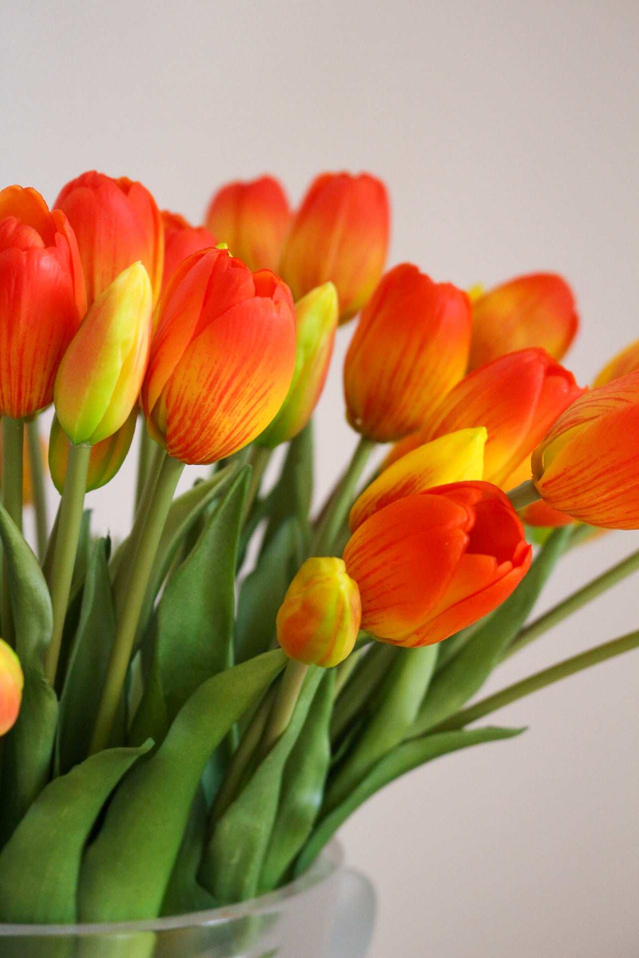 Bouquet de 40 tulipes oranges
