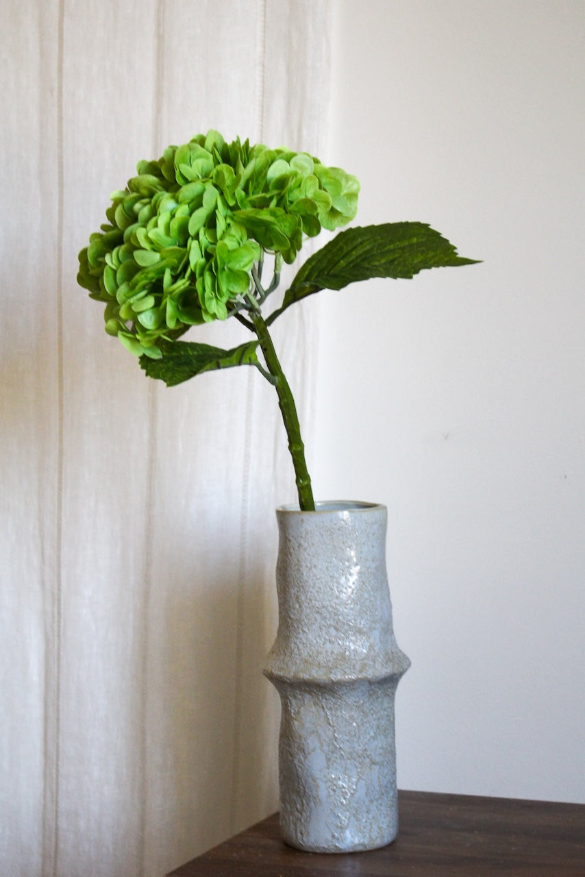 Hortensia vert foncé