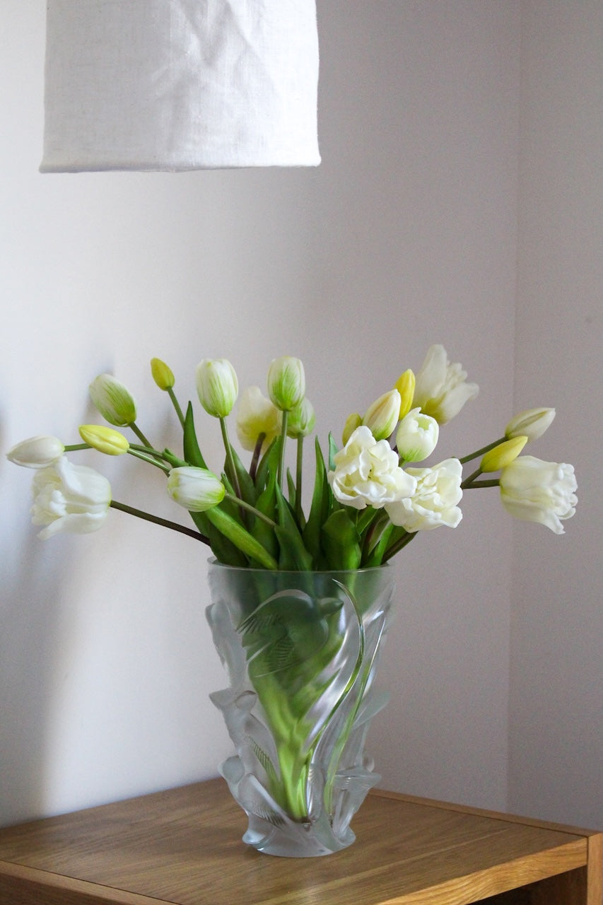 Tulipes Mania blanches