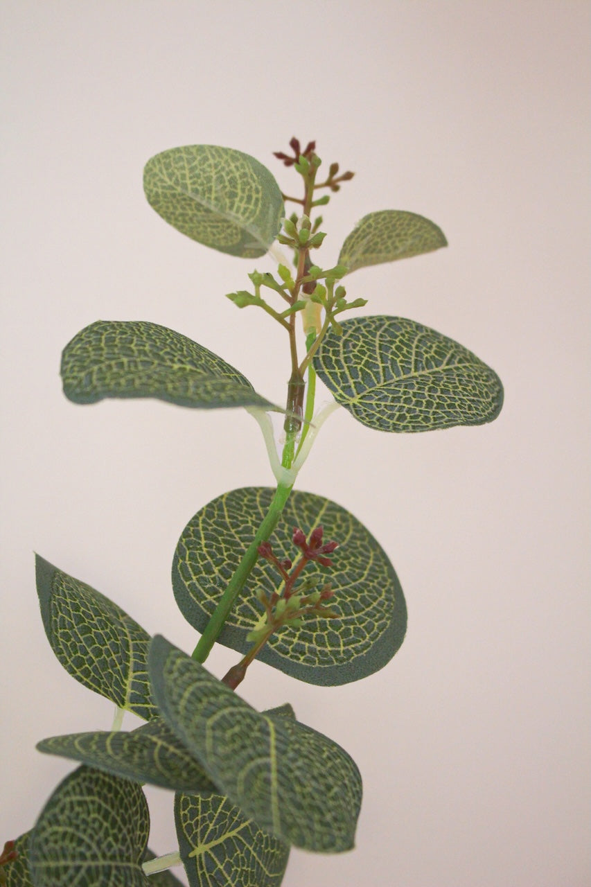 Eucalyptus Vert Artificiel — Branche Haute Qualité