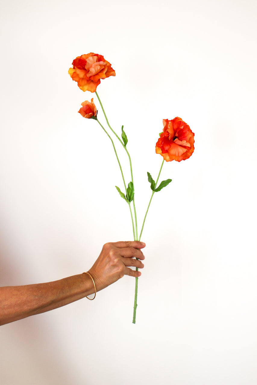 Pensée orange