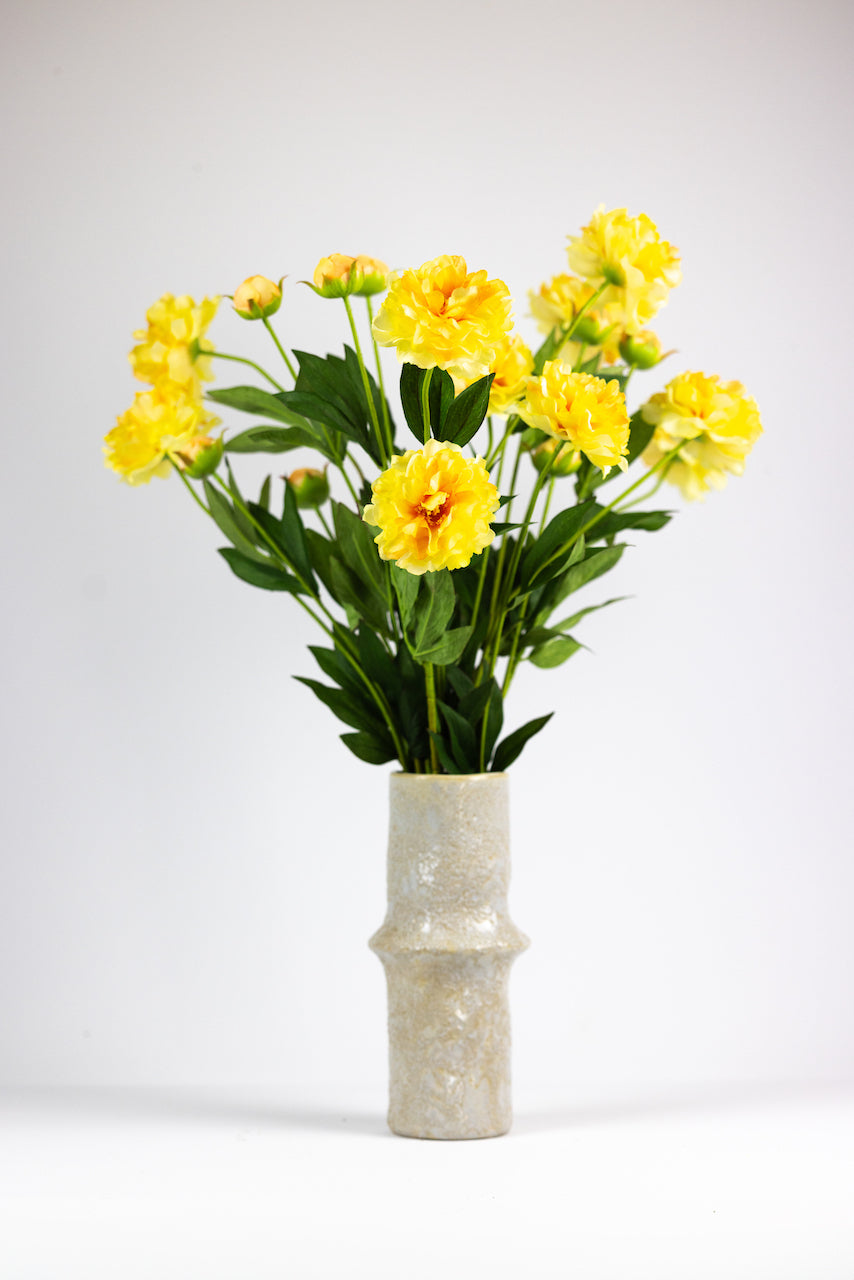 Pivoine jaune