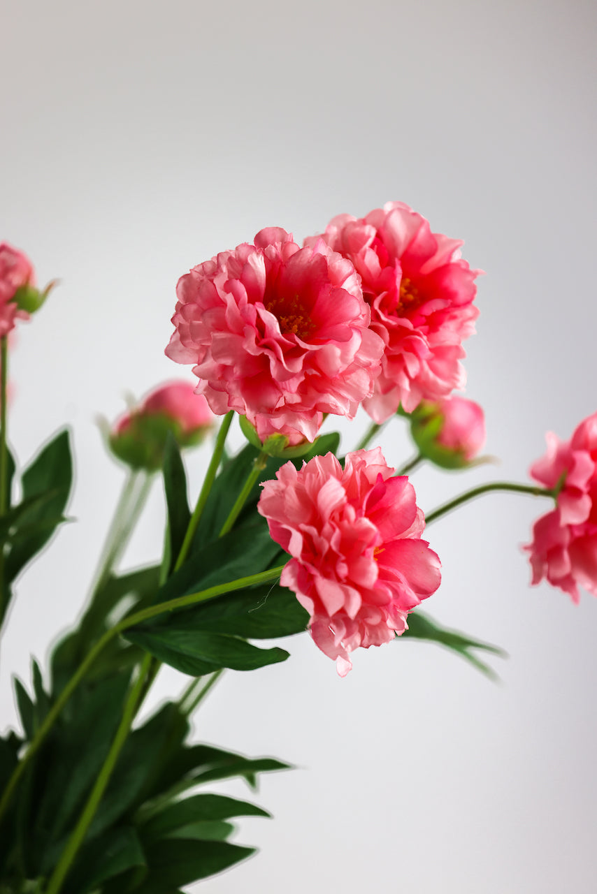 Petite Pivoine Rose Artificielle — Fleur Haute Qualité