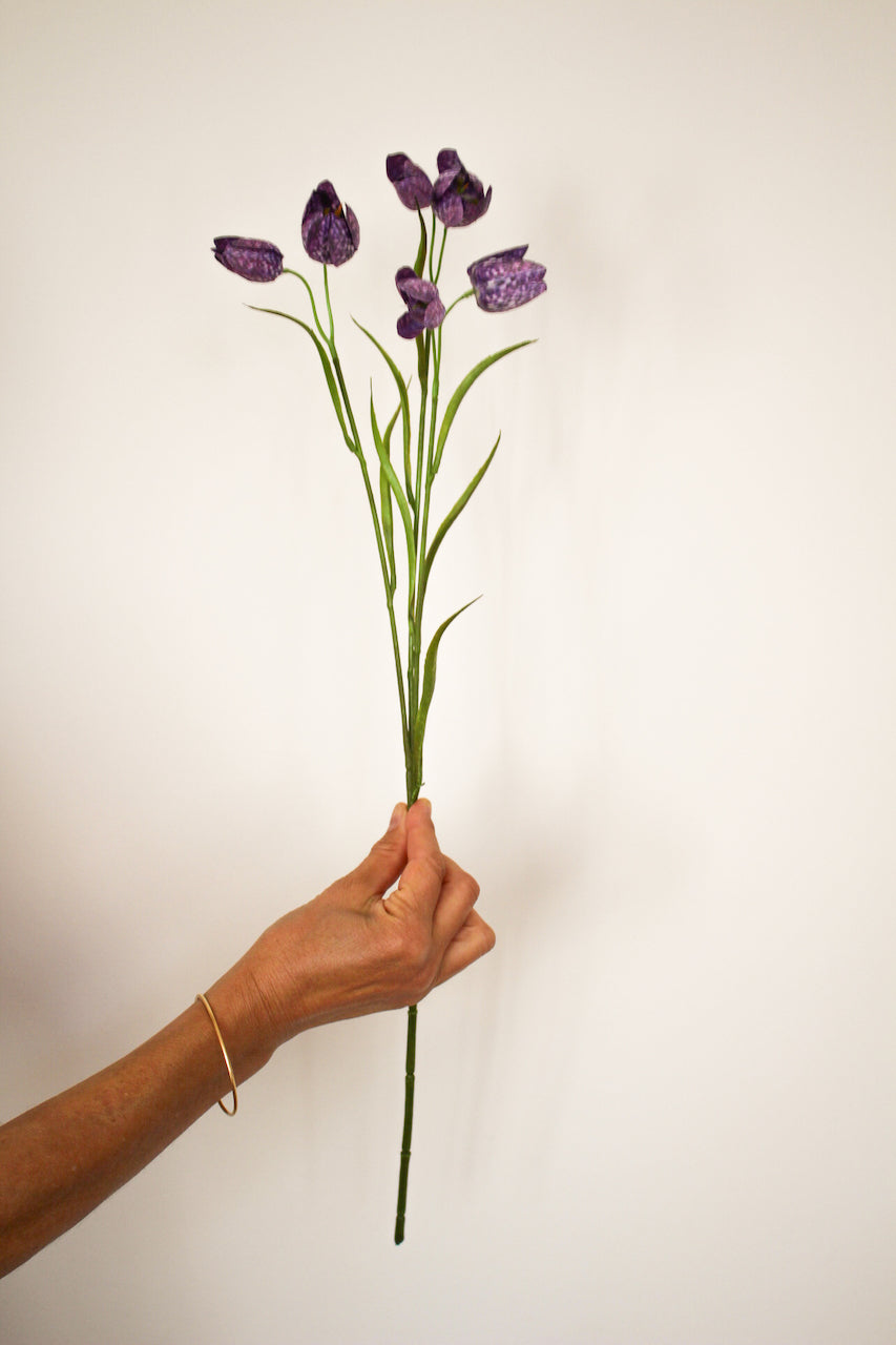 Fritillaire violette