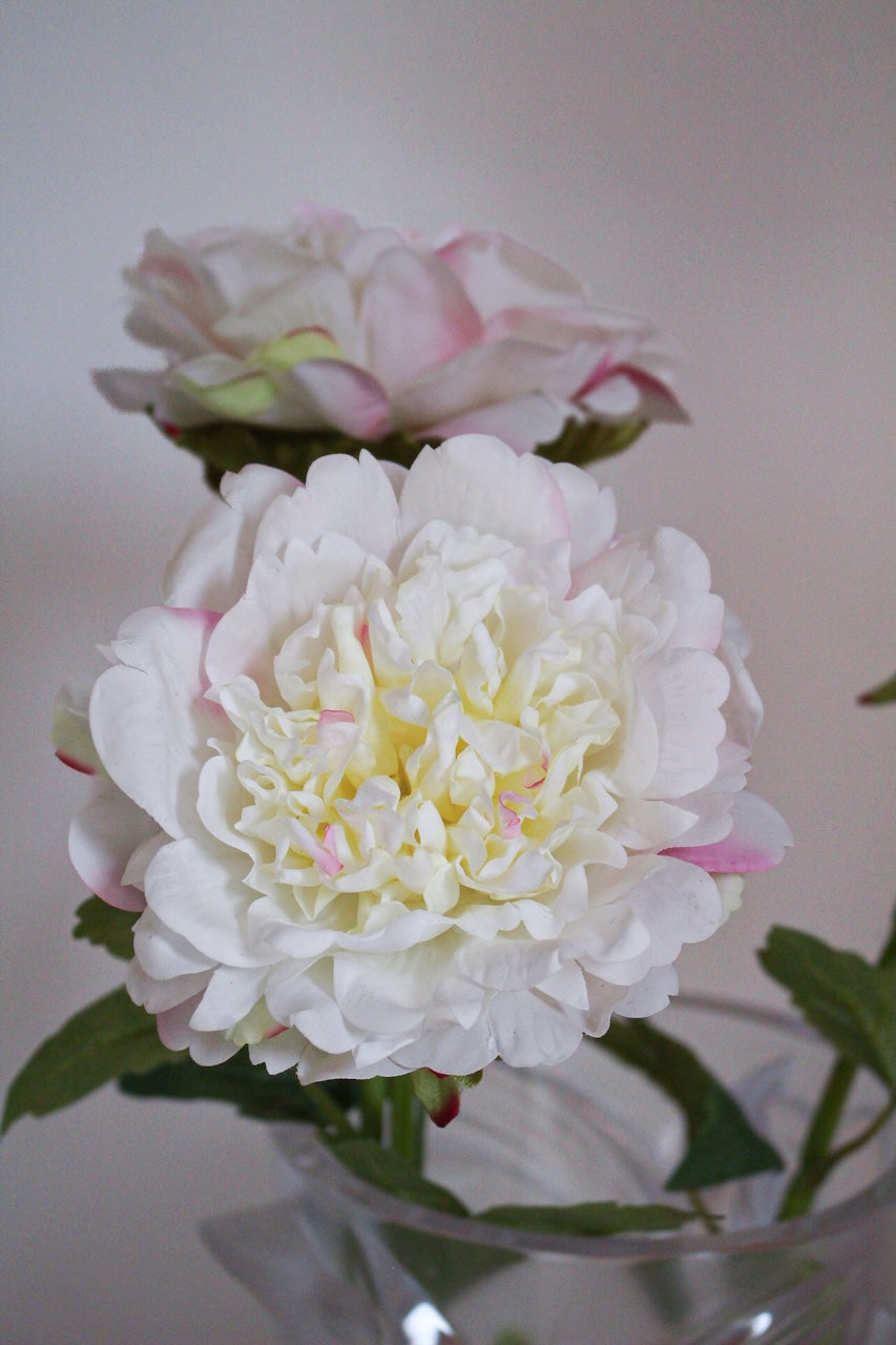 Pivoine Blanche Artificielle Real Touch — Fleur Haute Qualité
