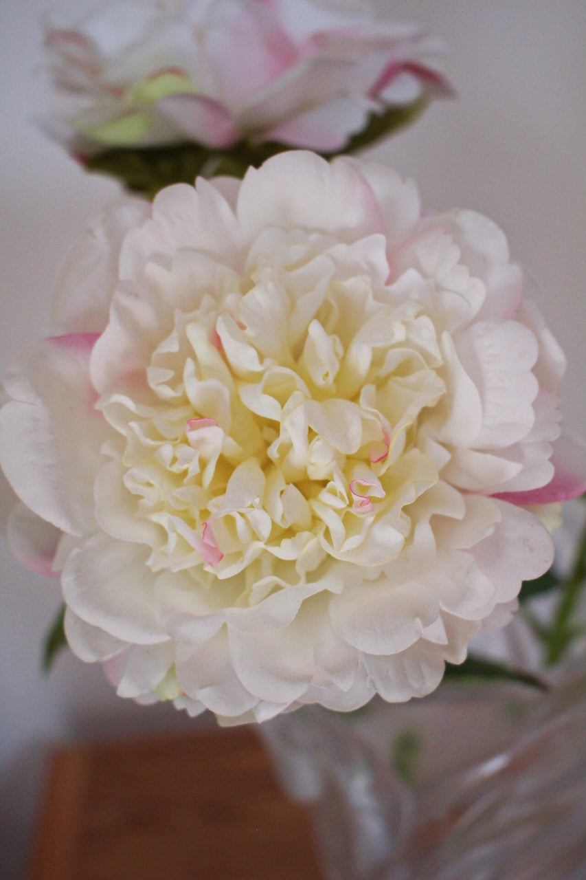 Pivoine Blanche Artificielle Real Touch — Fleur Haute Qualité